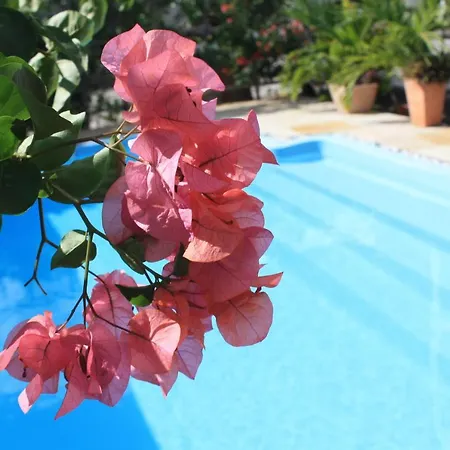 Roi Holiday Stay-2